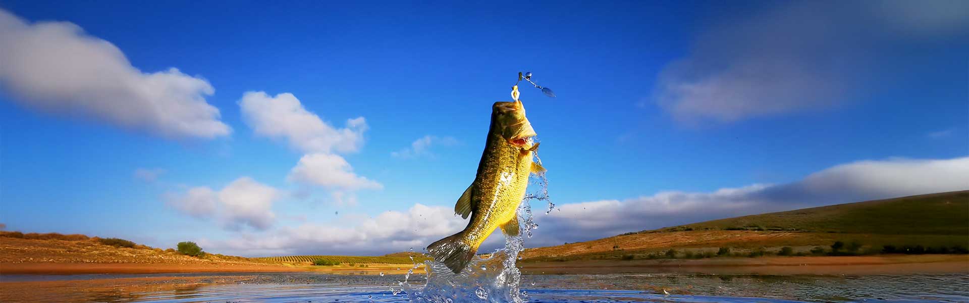 Stryker Mag Bass Rods
