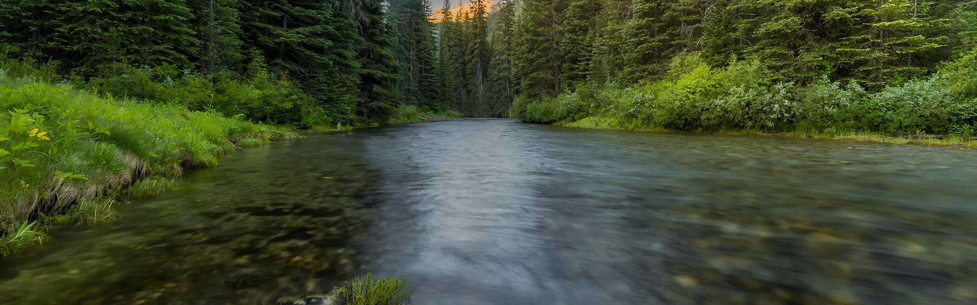 North Fork Freshwater Rod Blanks