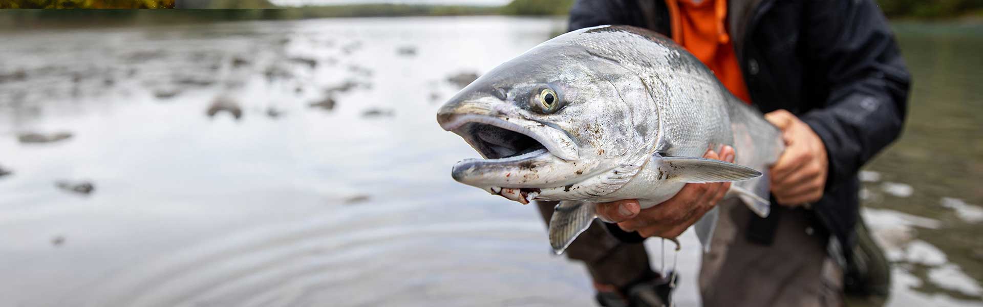 North Fork Salmon Rod Blanks