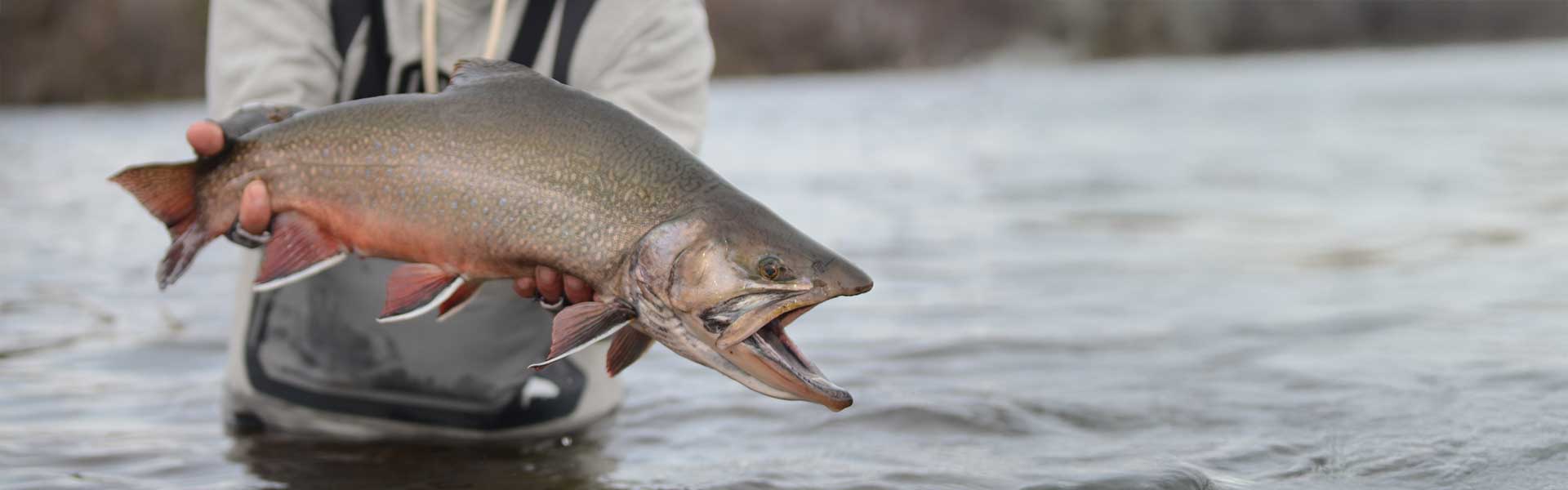 Edge Rods Steelhead Fly Rods