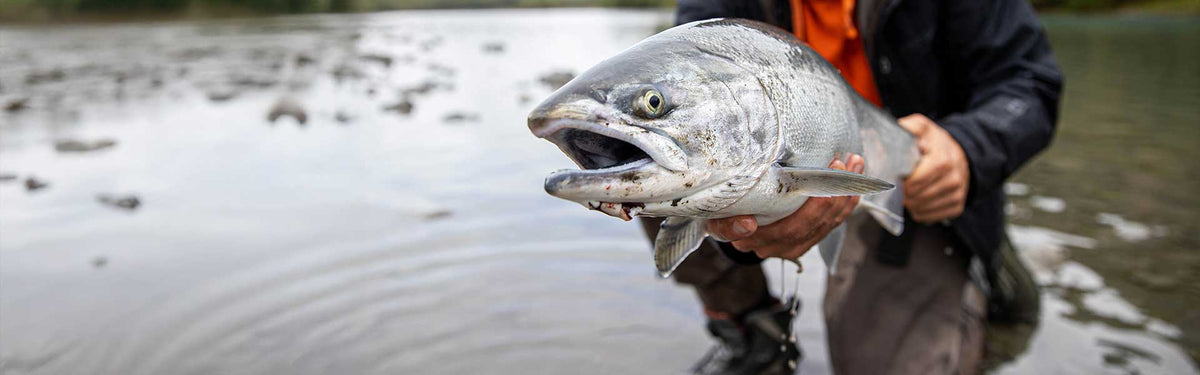 Edge Rods | Edge Rods Salmon/UL
