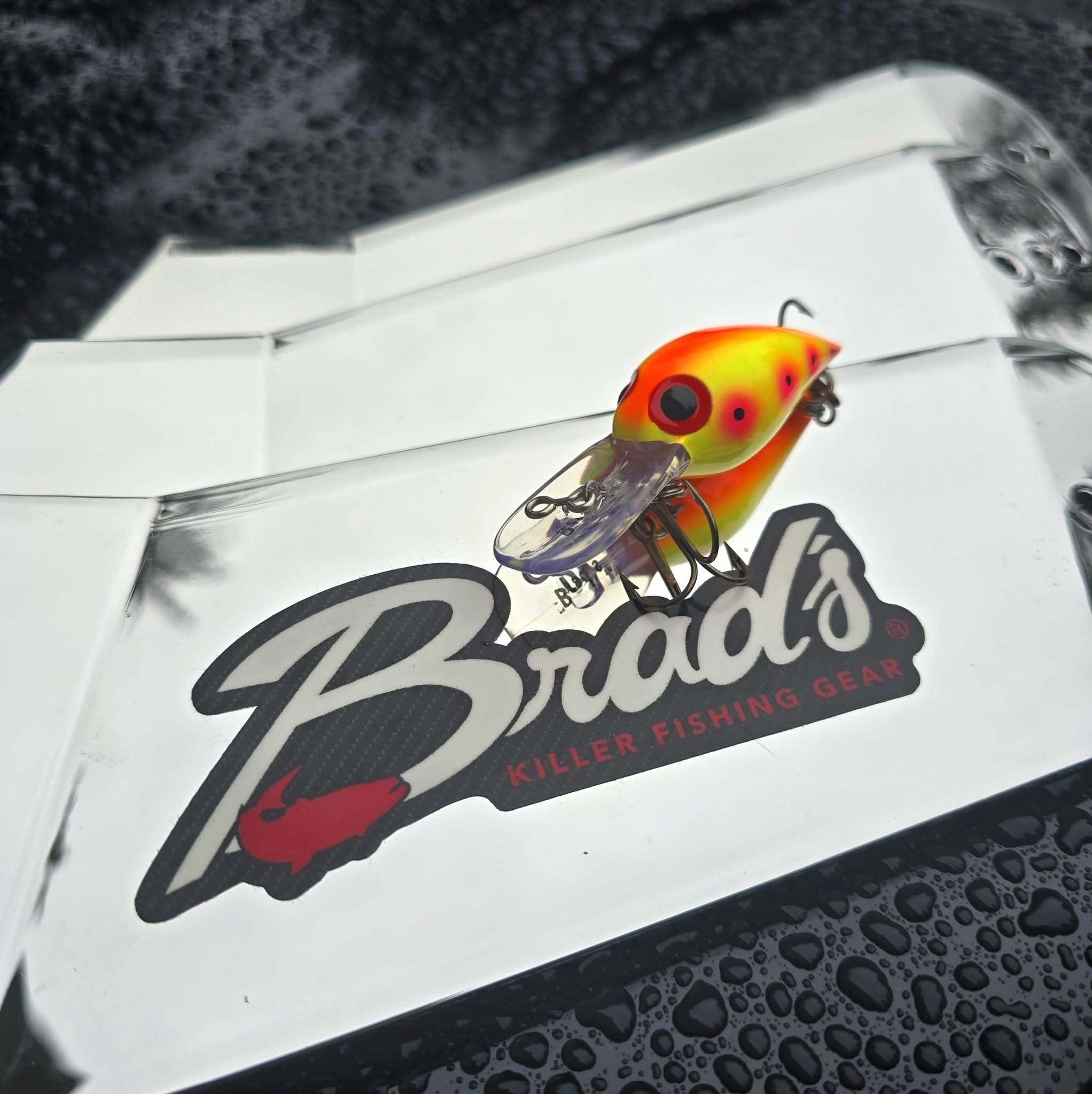 Brads Evolution Flasher Chrome "Shyner" NEW FOR 2025