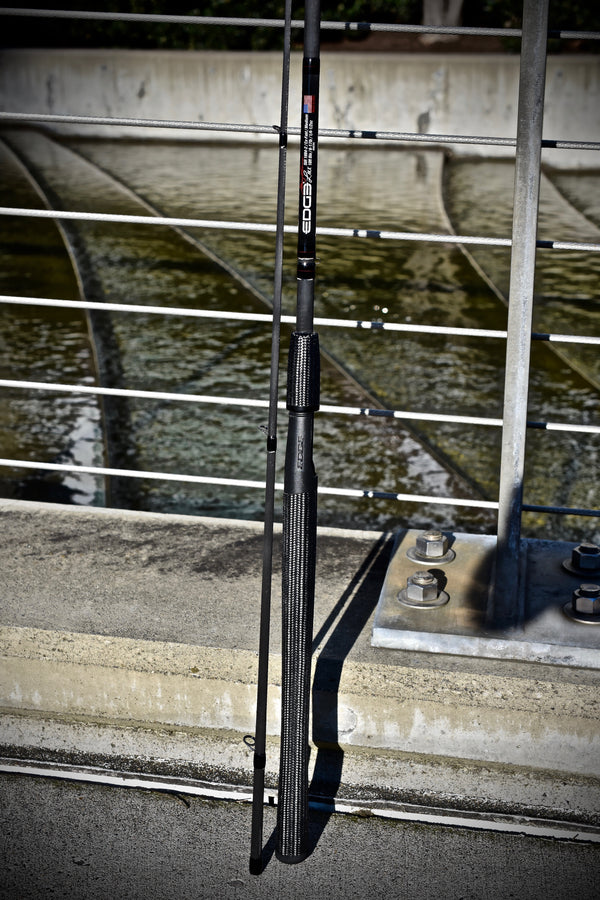 FSS StR 1004-2